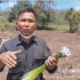 Event Motor Trail Buat Ranca Upas Rusak, Begini Kata Perhutani