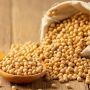 Jangan Keliru! 6 Mitos Umum Tentang Kacang Kedelai dan Faktanya