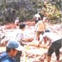 Satu Warga Hilang Tertimbun Tanah Longsor di Way Kanan