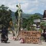 Protes Jalan Rusak Tak Diperbaiki Pemerintah, Warga Tulungagung Tanami Pohon Pisang di Tengah Jalan