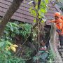 Dua Rumah di Jagakarsa Ambruk dan Rusak Parah Akibat Tanah Longsor!
