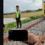 2 Ekor Sapi Mati Ditabrak Kereta Api di Kabupaten Maros