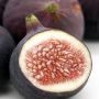 4 Manfaat Buah Tin untuk Kesehatan dan Kesuburan Pria