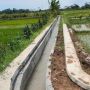 RJIT Kementan Beri Bantuan Desa Seberang Kapuas untuk Tingkatkan Produksi