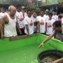 Punya Potensi Ekonomi Besar, OMG Kalbar Gelar Pelatihan Teknik Budidaya Ikan