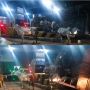 Buntut Truk Tabrak Gerbang Tol Cengkareng, Belasan Sapi Berhamburan hingga ke Arah Bandara Soetta