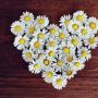 6 Zodiak yang Hari Ini Dipenuhi Bunga Cinta, Kamu Termasuk?