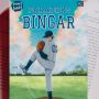 Ulasan Novel Paradoks Bingar: Kisah Bing Si Remaja Penyuka Bisbol