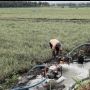 Kementan Beri Bantuan Irigasi Perpompaan untuk Petani Lampung Selatan