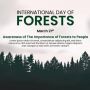4 Cara Memperingati Hari Hutan Internasional, Yuk Lakukan!