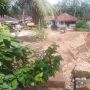 Banjir dan Longsor Landa Way Lima Pesawaran, Puluhan Rumah Rusak