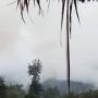 Klaim Marah Karena Rumah Warga Dibakar, TPNPB-OPM Tembak Satu Anggota TNI di Ilaga Papua