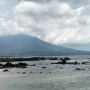 Waspada Buaya Muncul di Sejumlah Pantai di Lampung Selatan