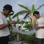Tingkatkan Hasil Tangkapan Ikan, Para Pelaut Pinrang Dapat Bantuan Jaring