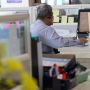 Tunjangan Kinerja Bakal Dihapus? Gaji ASN Diklaim Lebih Adil Melalui Single Salary
