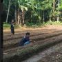 GMC Banten Gelar Workshop Bersama Petani Muda Mandalawangi