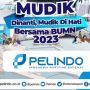 Mudik Gratis 2023 Pelindo, Siap-siap Buat yang Belum Dapat Tiket Pulang Kampung!