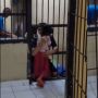 Buka Pintu Penjara Demi Tahanan Peluk Anaknya, Apakah Bripka Handoko Bisa Kena Sanksi?