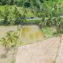 Kementan Lakukan Kegiatan RJIT untuk Tingkatkan Produktivitas Petani