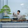 Awalnya Iseng, Pesulap Jusin Clasic Kini Mendulang Banyak Cuan sebagai Kolektor Bonsai