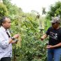 GMP Berikan Bibit dan Alat Pertanian Ke Petani Kopi di Kawasan Gunung Manglayang