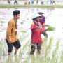 Presiden Jokowi Bersama Mentan SYL Lakukan Percepatan Tanam Padi di Tuban