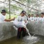 Nelayan Pesisir Berikan Bantuan Lele ke Pembudi Daya Ikan Darat di Cianjur