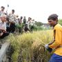 Ciptakan Tata Kelola Pertanian Terbaik Lewat Manfaat Kartu Tani