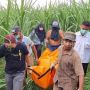 Terungkap! Ibu dan Bayinya Mati Mengenaskan di Kebun Tebu Dibunuh Suami
