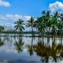 Mirip Maldives, Indahnya Panorama Persawahan di Kuantan Singingi