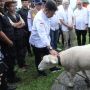 Mentan SYL Ajak Peternak Domba Penuhi Kebutuhan Daging Secara Nasional