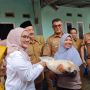 Stok dan Harga Kebutuhan 12 Bahan Pokok di Bengkulu Dipastikan Aman