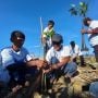 Peduli Lingkungan, Komunitas Nelayan Pesisir Lampung Ajak Warga Pesawaran Tanam Hutan Mangrove