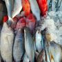 20+ Jenis Ikan yang Aman Dikonsumsi Penderita Asam Urat, Begini Cara Pengolahannya