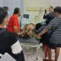 Tak Punya Riwayat Sakit Jantung, Bocah di Tabanan Meninggal Karena Panik Saat Gempa