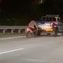Bak Film Action! Pemotor Nekat Masuk Tol hingga Dikejar-kejar Polisi: Ngetes Motor Apa Ngetes Nyali?