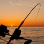 Perhatikan 5 Hal Ini dalam Memilih Reel dan Rod yang Tepat untuk Memancing