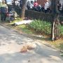 Niat Pipis di Got, Pemuda Ini Tewas Tertancap Pagar di Kramat Jati: Helmnya Masih Nempel di Kepala