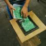 Peduli Lingkungan, Sukin Berkolaborasi dengan Penggiat Daur Ulang Sampah di Jogja