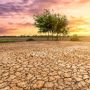 Iklim Panas, Ini 5 Penyakit yang Bisa Timbul Akibat Global Warming