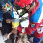 Kepala Bocah Tersangkut di Kaleng Biskuit Lebaran Hingga Panggil Damkar: Antara Sedih Tapi Kok Bisa