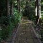 Taman Hutan Raya Ir H Djuanda, Tempat Wisata Alam di Tengah Kota Bandung