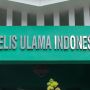 Minta Tayangan Pertandingan UFC Dihentikan, MUI: Haram!