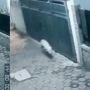Kronologi Heboh Babi Ngepet Terekam CCTV di Tangsel, Ternyata Cuma Anjing Liar