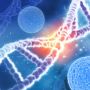 Misteri DNA: Keajaiban Kompleksnya Tubuh Makhluk Hidup