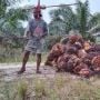 100 Hari Prabowo, Guru Besar Unmul Desak Pemerintah Fokus ke Petani Kecil, Bukan Korporasi