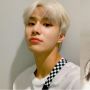 4 Kakak Adik Ini Jadi Selebritas Terkenal di Korea, Terbaru Ada Jungwoo NCT