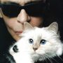 5 Fakta Choupette, Kucing Terkaya di Dunia Peliharaan Karl Lagerfeld
