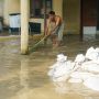 Kondisi Banjir yang Melanda Pondok Gede Akibat Kiriman Air dari Bogor, Bikin Panik Warga Sejak Dinihari Tadi