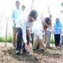 Kementerian Pertanian Minta Gunungkidul Menjadi Penyuplai Benih Kedelai